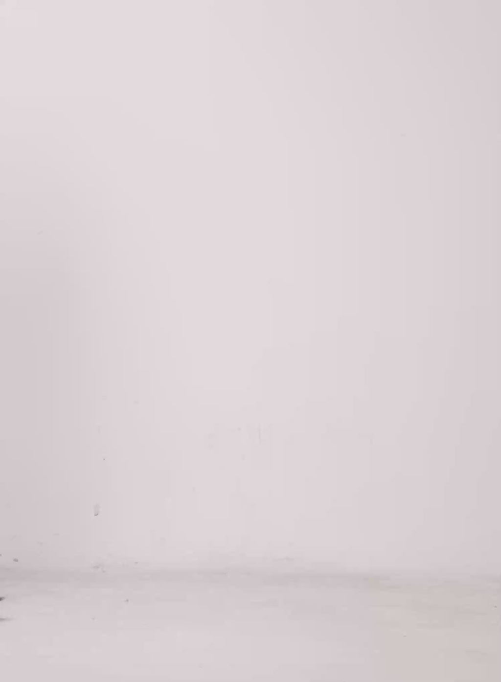 Classic Pleated Skirt IL528